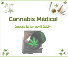 Cannabis Médical en Israel
