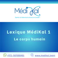 Lexique MédiKal 1 - Le corpd humain
