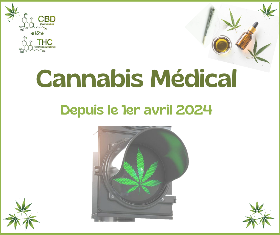 Cannabis Médical en Israel