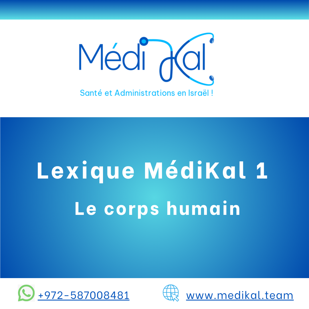 Lexique MédiKal 1 - Le corpd humain